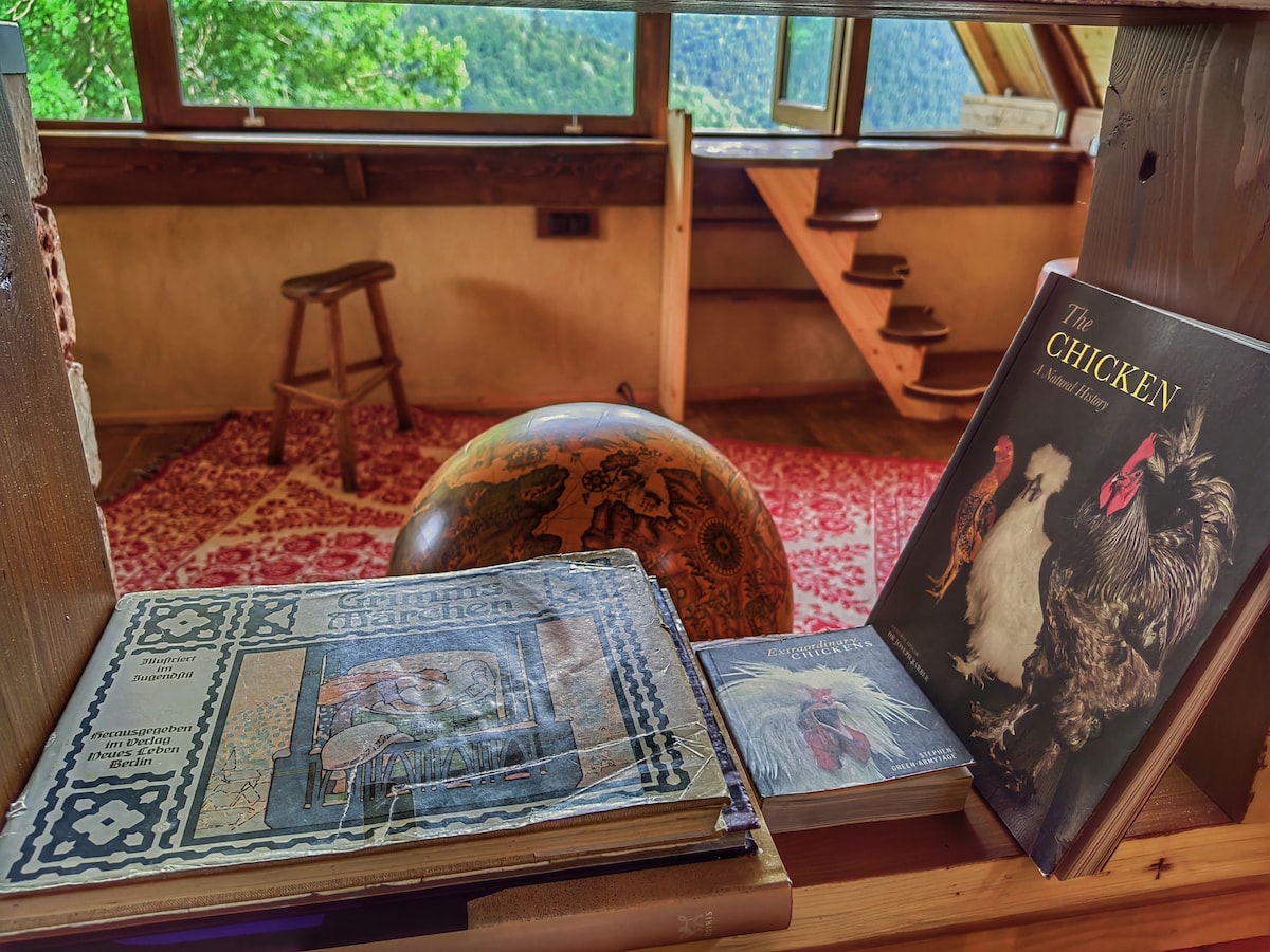 A wooden shelf holds several books, including one titled 'The Chicken,' placed beside an ornate globe. A cozy red rug is visible on the floor, and a small wooden stool is set against the backdrop of a bright window, offering scenic views of the surrounding nature.