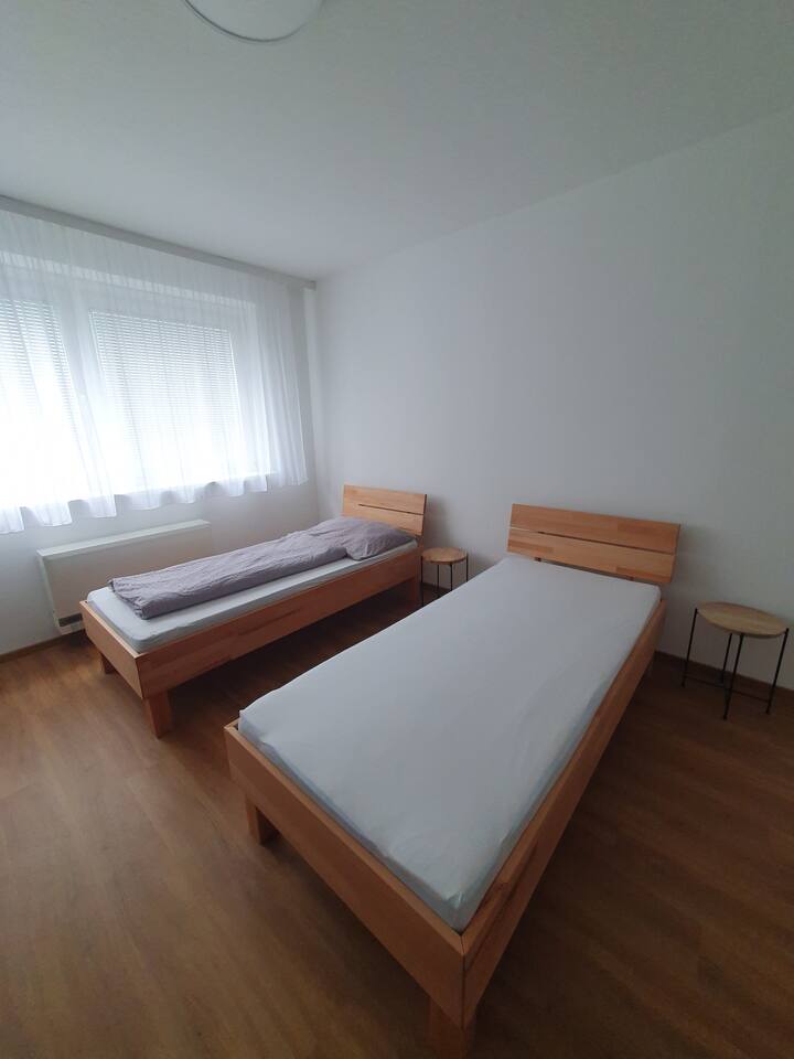 Apartment Leoben - Leoben