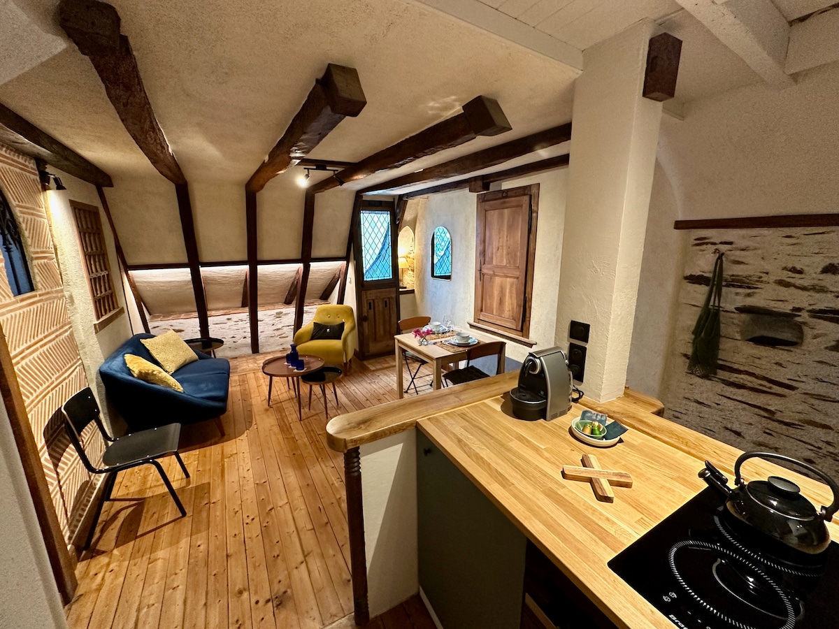 Propriété Airbnb réussie: “Le Petit Tinténiac” T2 cozy in the heart of La Doutre à Angers