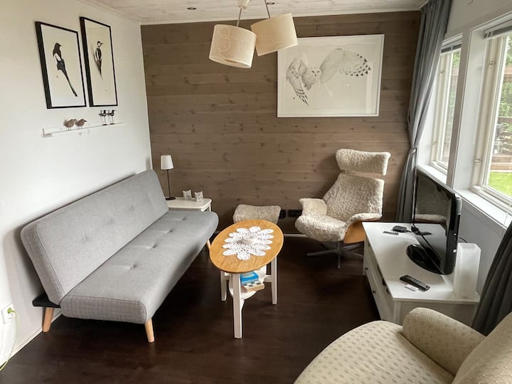 סלון עם ספה נפתחת, טלוויזיה וטל.