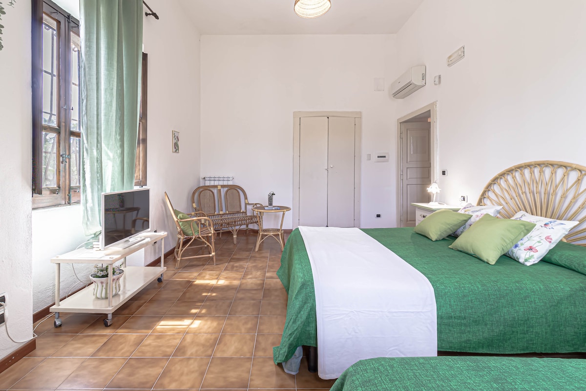 مرحبًا بك في غرفة الياسمين، المفروشة بظلال من المساحات الخضراء. يمكن أن تستوعب الغرفة ما يصل إلى 3 أشخاص، وذلك بفضل السرير المزدوج الكبير والسرير الفردي المريح. هنا أيضًا، تلفزيون مع قنوات فضائية وغرفة معيشة خاصة.