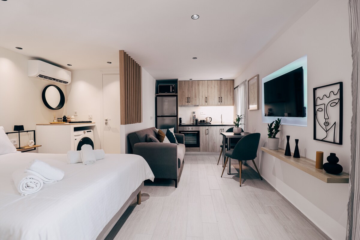 The studio features a spacious layout with a queen-size bed, modern kitchen appliances, and a cozy seating area. A flat-screen TV is mounted on the wall, while plants and decorative items add a touch of elegance to the neutral palette.