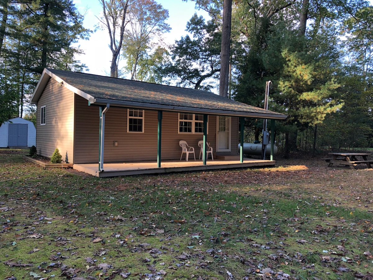 A modest cabin is surrounded by trees, featuring a welcoming porch with two chairs and a small table. The cabin's exterior showcases neutral siding and a sloped roof, while the yard has scattered fallen leaves and a picnic table to enhance relaxation in nature.