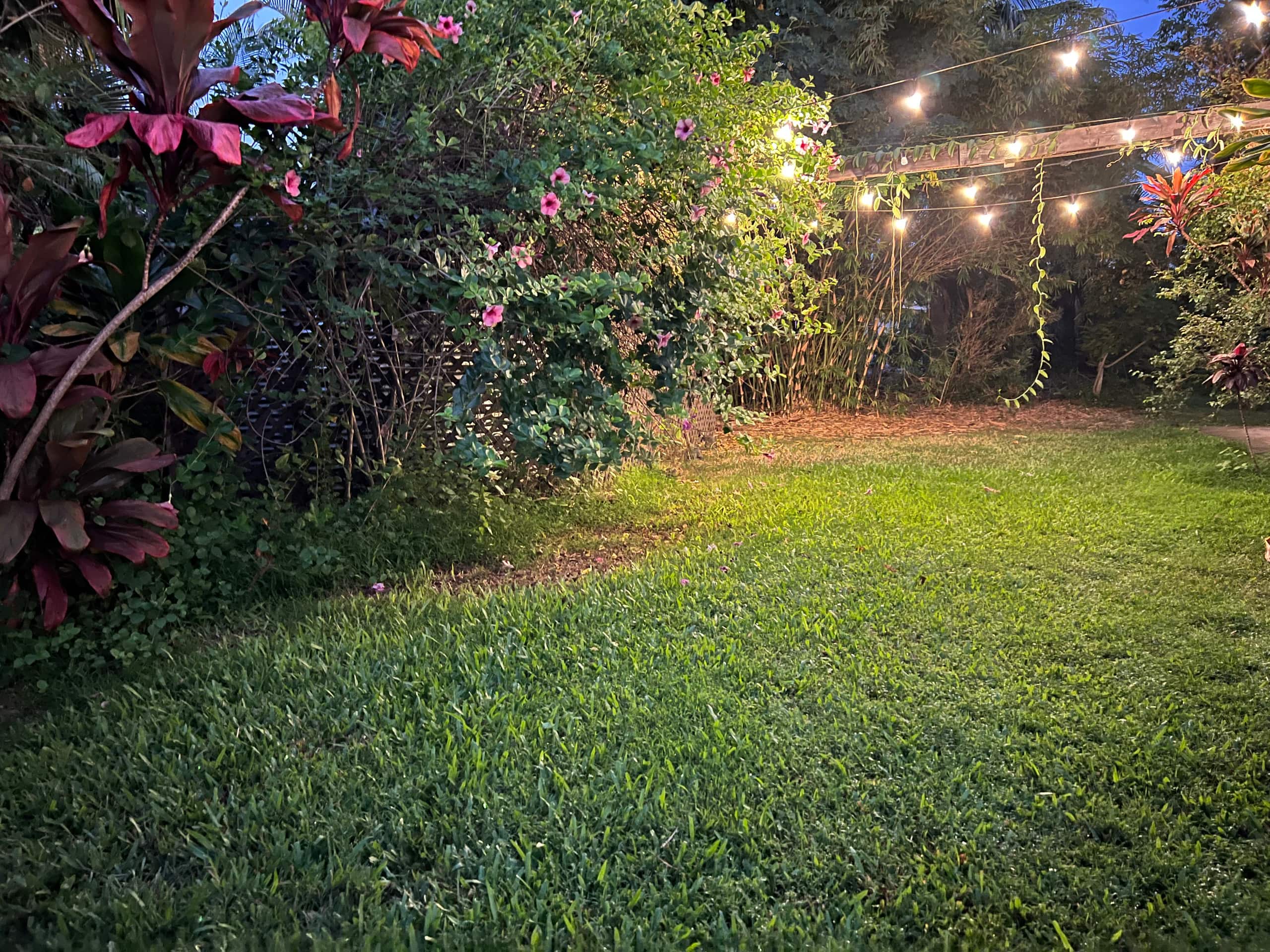 Organic Mango Oasis: Gardenview by Kealakekua Bay - Image 22