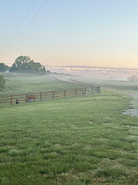 Quiet horse farm with pool, hot tub and more!