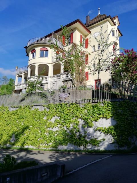 Top-earning Airbnb listing in Sarnen, 7 bedrooms
