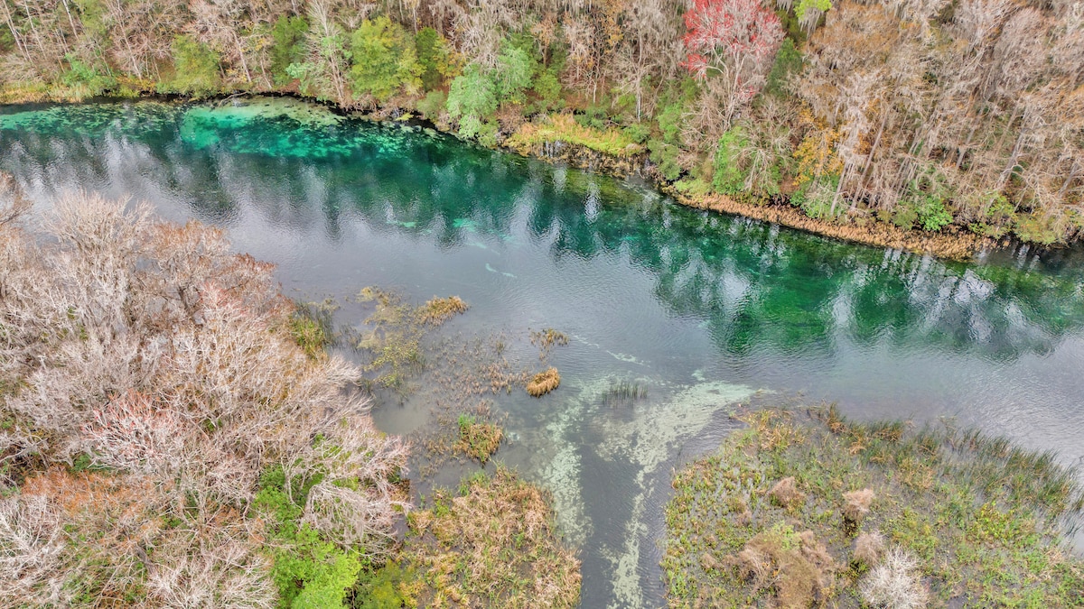 An aerial view of the Rainbow River showcases its clear, emerald waters winding through lush greenery. Various patches of vegetation and sandy riverbanks create a natural landscape, surrounded by trees with autumn leaves. The serene river reflects the colors of nature, enhancing its tranquil appeal.
