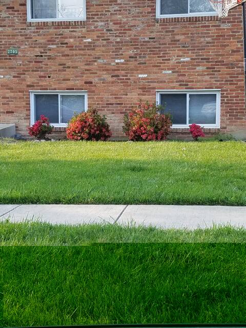 Entire top unit of charming home~long term welcome