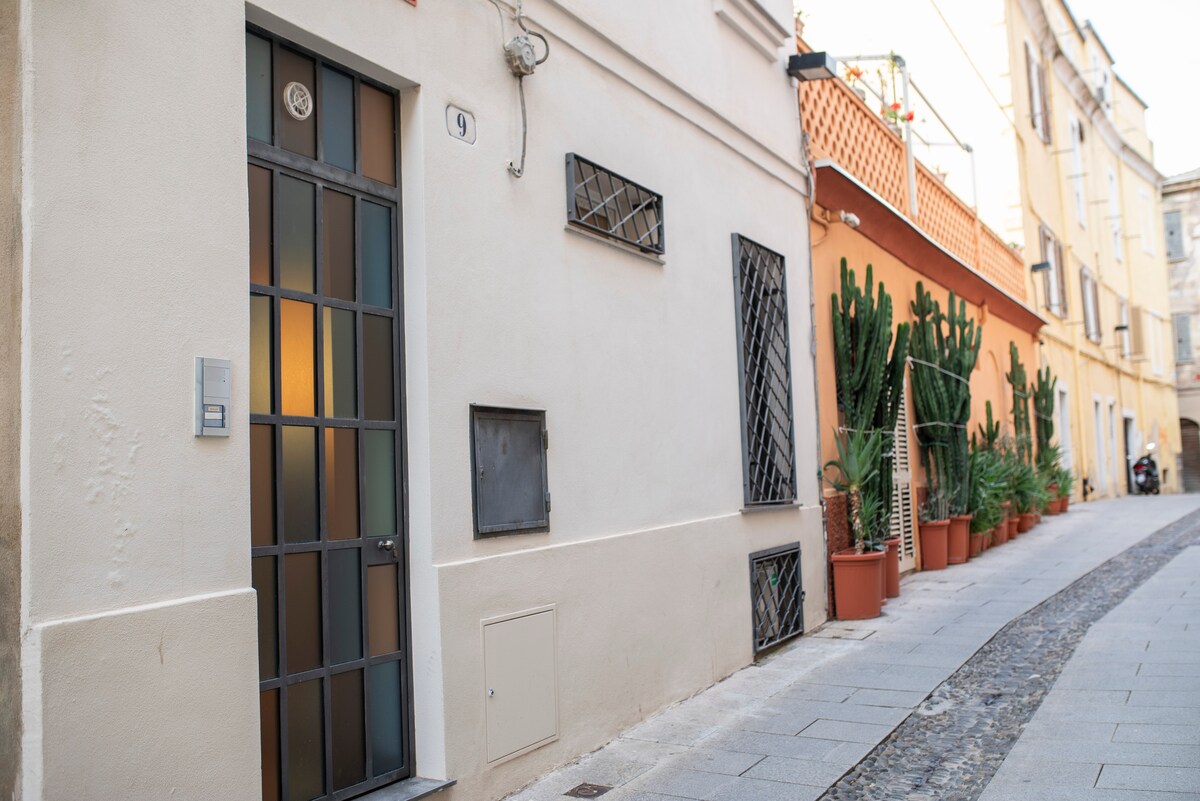 The exterior of the building features a modern-style door with glass paneling, framed by a light-colored wall. Potted cacti are arranged along the pathway, adding a touch of greenery. The cobblestone walkway leads into a quiet street, highlighted by warm ambient lighting.