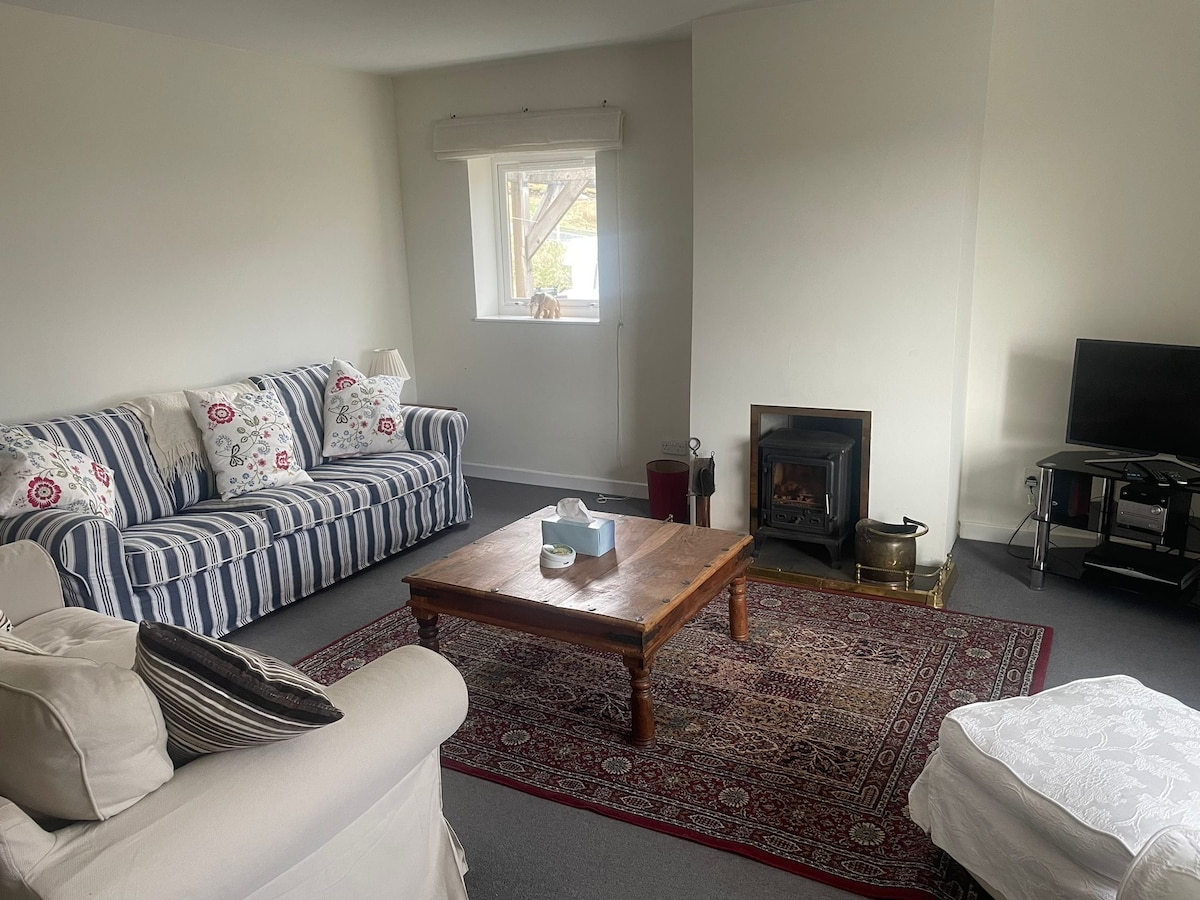 A bright living area is furnished with a patterned sofa and a neutral-colored couch, accompanied by a wooden coffee table on a decorative rug. A television is positioned on a stand, while a wood-burning stove adds warmth. A window provides a view of the outside.