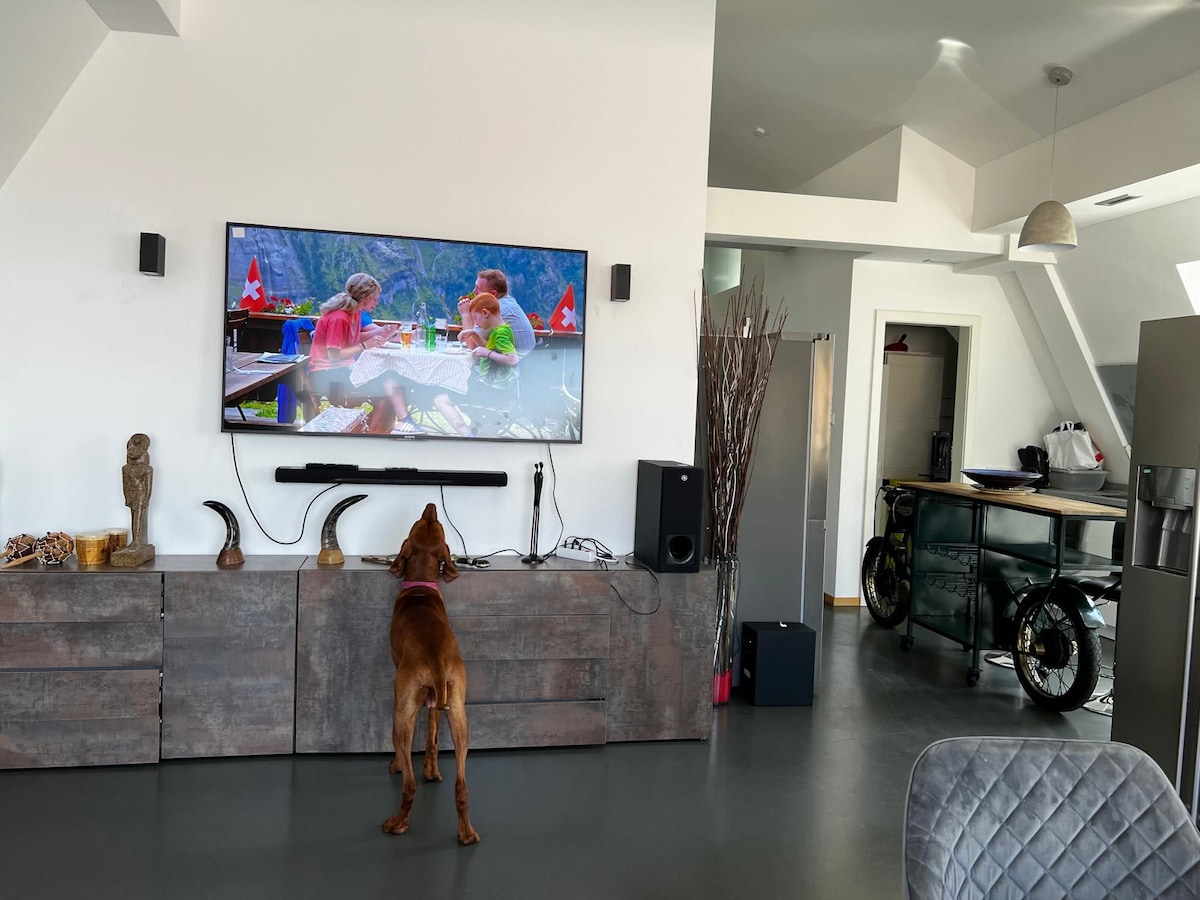 Popular Airbnb listing: 6-room duplex penthouse with 4 bedrooms in Neuhausen