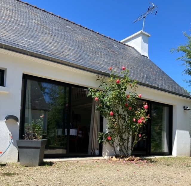 The exterior of the house features large glass doors, allowing natural light to enter the interior. A flowering bush with pink blossoms adds a touch of color to the scene, while a gravel pathway leads to the entrance. The clear blue sky complements the structure.