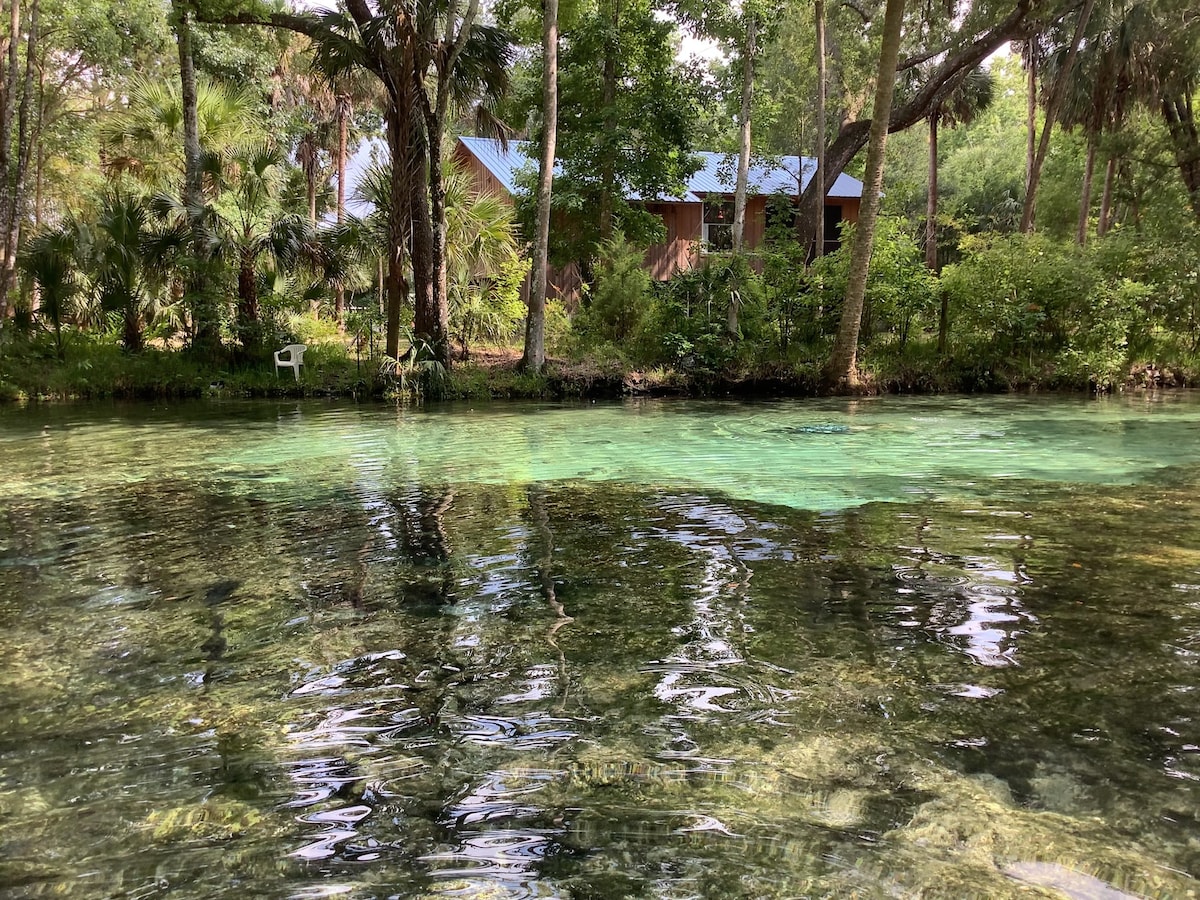 Clear water springs reflect shades of green and blue, with a lush natural setting surrounding a rustic cabin in the background. Palm trees and other flora frame the scene, while the calm water of the river invites exploration and relaxation.