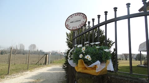 The Cherry Blossom Garden
Z10339 027033-LOC-00040