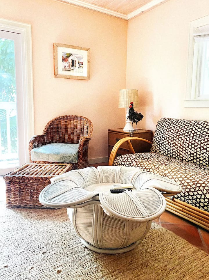 Dhomë argëtimi në katin e poshtëm me futon