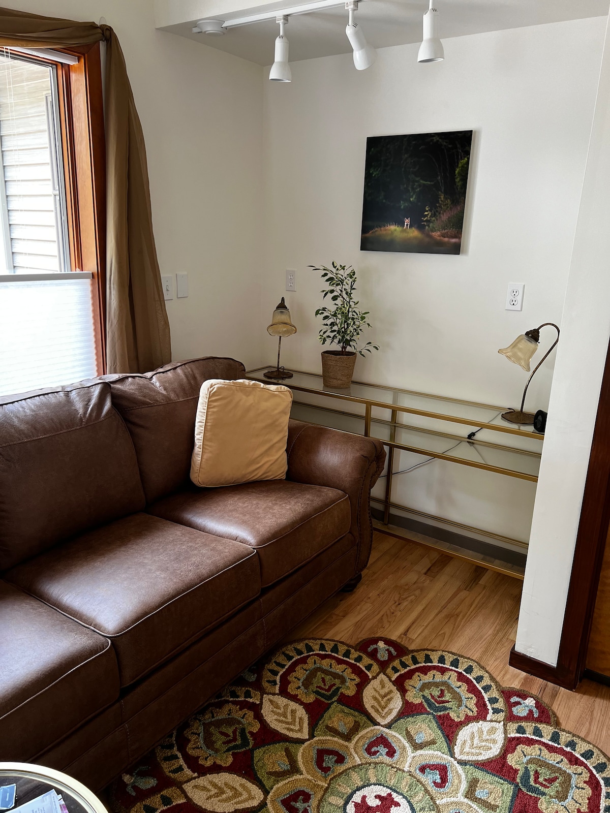 A cozy seating area features a brown leather couch with a light-colored cushion. Behind it, a console table holds two lamps and a potted plant. A nature-themed artwork is displayed on the wall, while a patterned area rug adds warmth to the wooden floor.