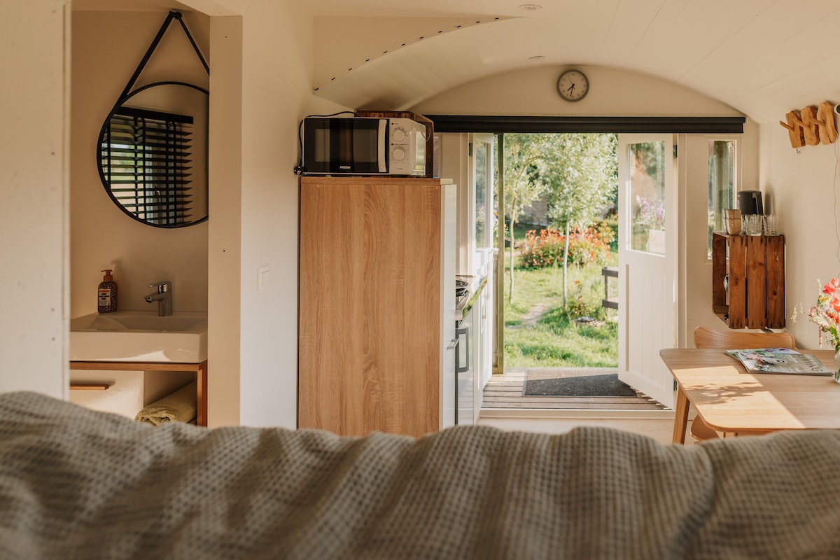 The interior of the accommodation displays a welcoming layout, featuring a kitchenette with a microwave and refrigerator. A wooden dining table is positioned near glass doors that open to a garden view. A round mirror and a wall clock add functional elements to the space.