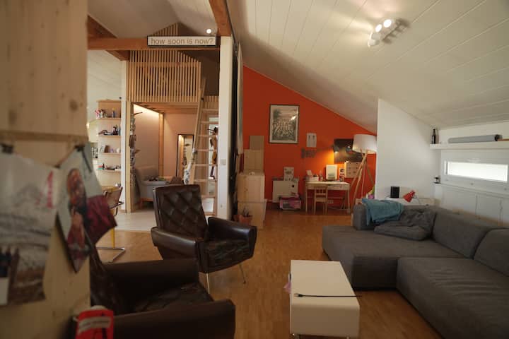Magnifique 4.5 Pièces - Lausanne