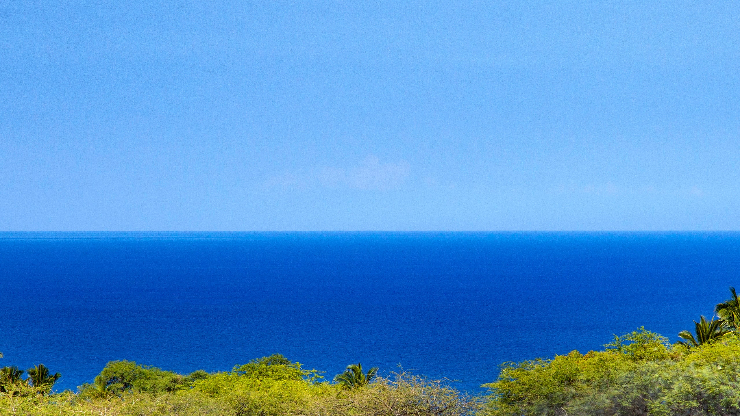 Home in Waimea · ★5.0 · 3 bedrooms · 4 beds · 3.5 baths - Image 23