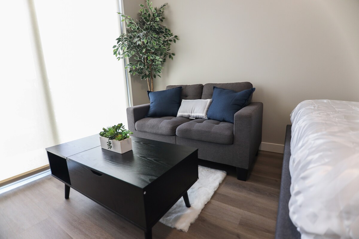 A comfortable gray loveseat with dark blue accent pillows is positioned next to a stylish black coffee table. A small decorative plant in a white pot adds a touch of greenery. Natural light filters through sheer curtains, enhancing the inviting ambiance of the space.