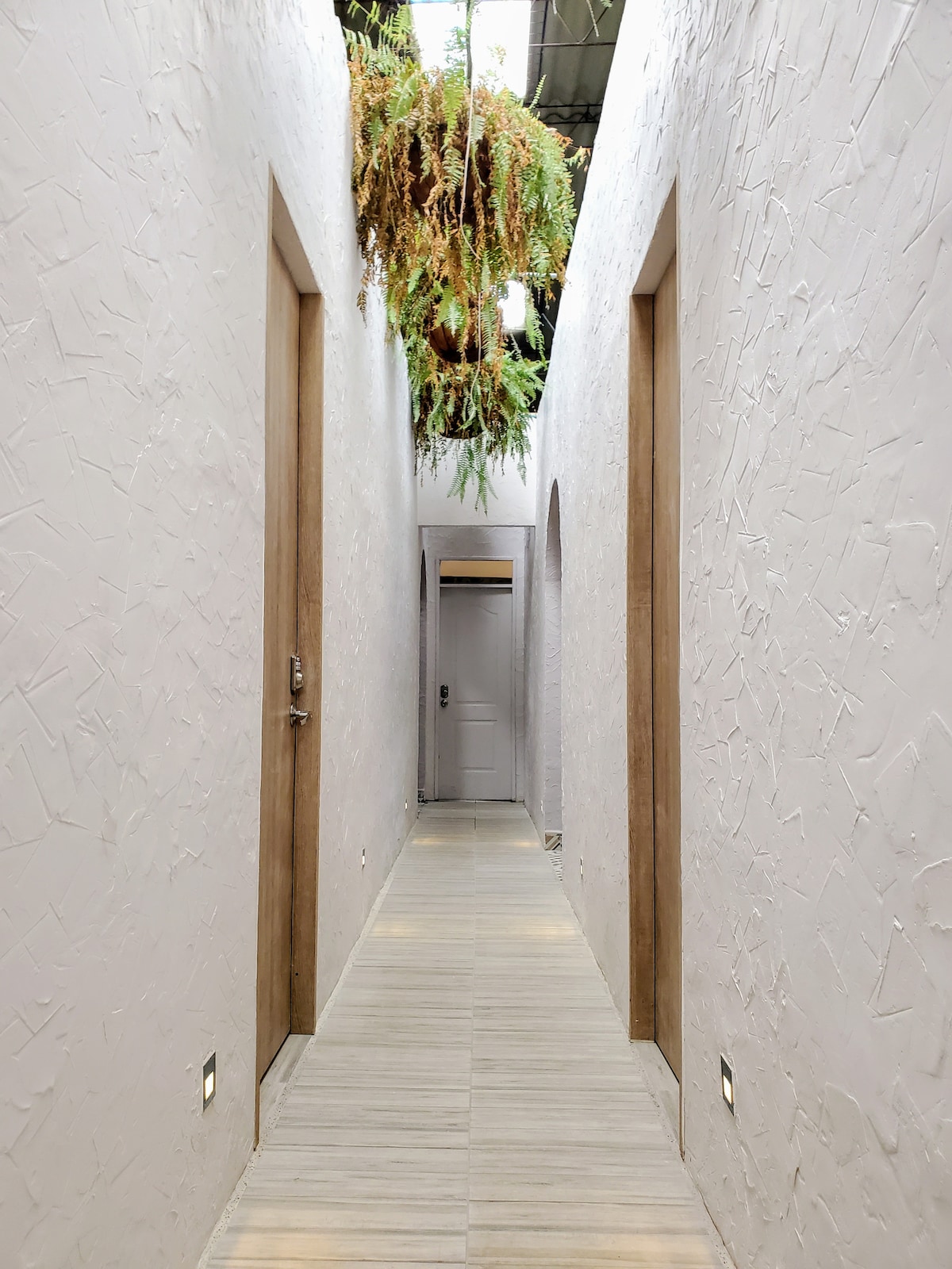 A serene hallway features smooth white walls and a light wooden floor. Doorways line either side, leading to individual rooms. A vibrant hanging plant adds a touch of greenery overhead, creating an inviting ambiance.