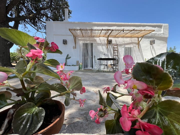 Romantica Villa "Lamietta Ulmo" - Puglia