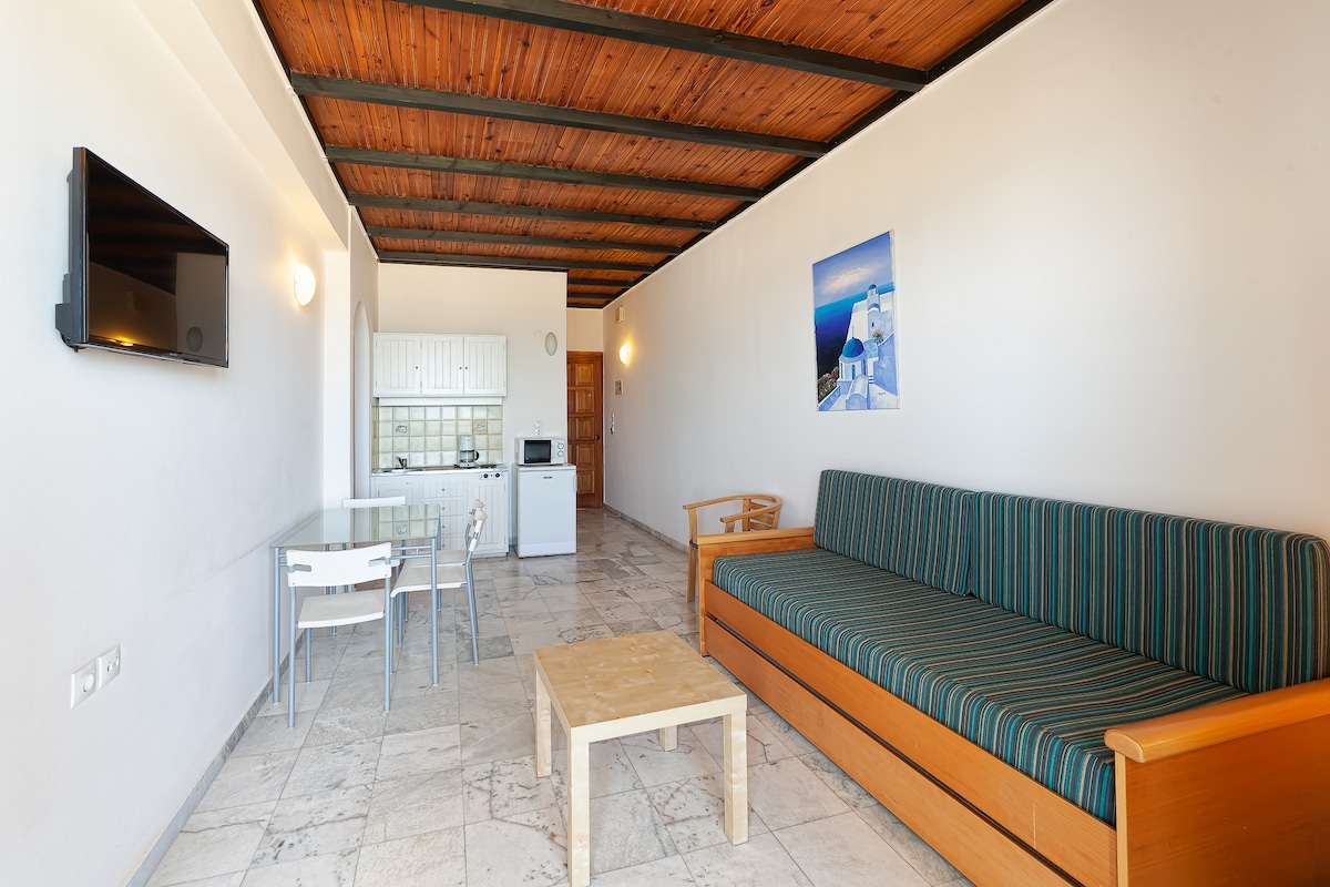 A spacious living area features a striped sofa and a simple wooden coffee table. A dining table with chairs is positioned nearby. The kitchen is visible in the background, equipped with basic appliances. Light-colored walls and a wooden ceiling contribute to the room's open feeling.