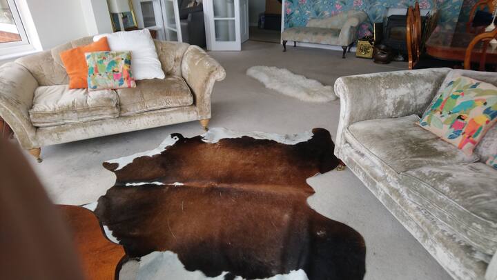 OGROMAN SITTINGROOM ODLIČAN ZA DRUŽENJE 