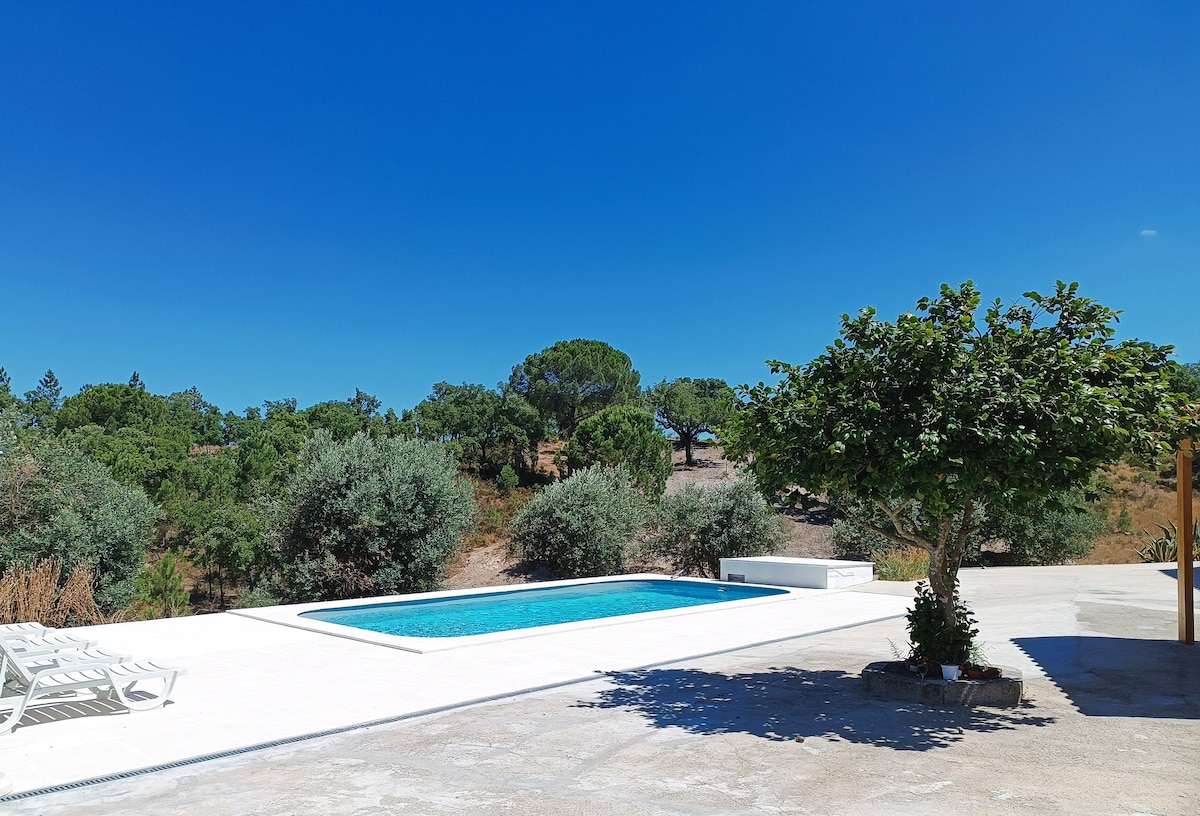 An outdoor area features a rectangular swimming pool framed by a white pool deck. Sun loungers are arranged neatly nearby. Lush greenery and trees are visible in the background, completing the tranquil atmosphere of the property.