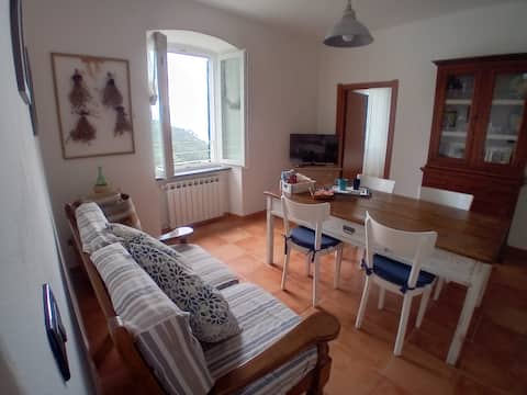 Airbnb con migliori performance: nonna amelia apartment a Vernazza