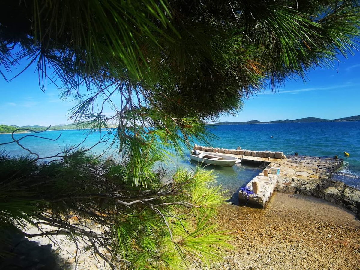A view of the serene coast framed by lush greenery reveals a rocky shoreline and calm, blue waters. A small boat is anchored near a stone jetty, with gentle waves lapping at the shore and the sky clear above.