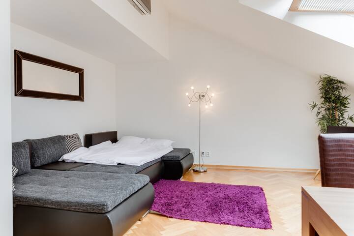 Spacious apt Bílkova 5C gallery image 2