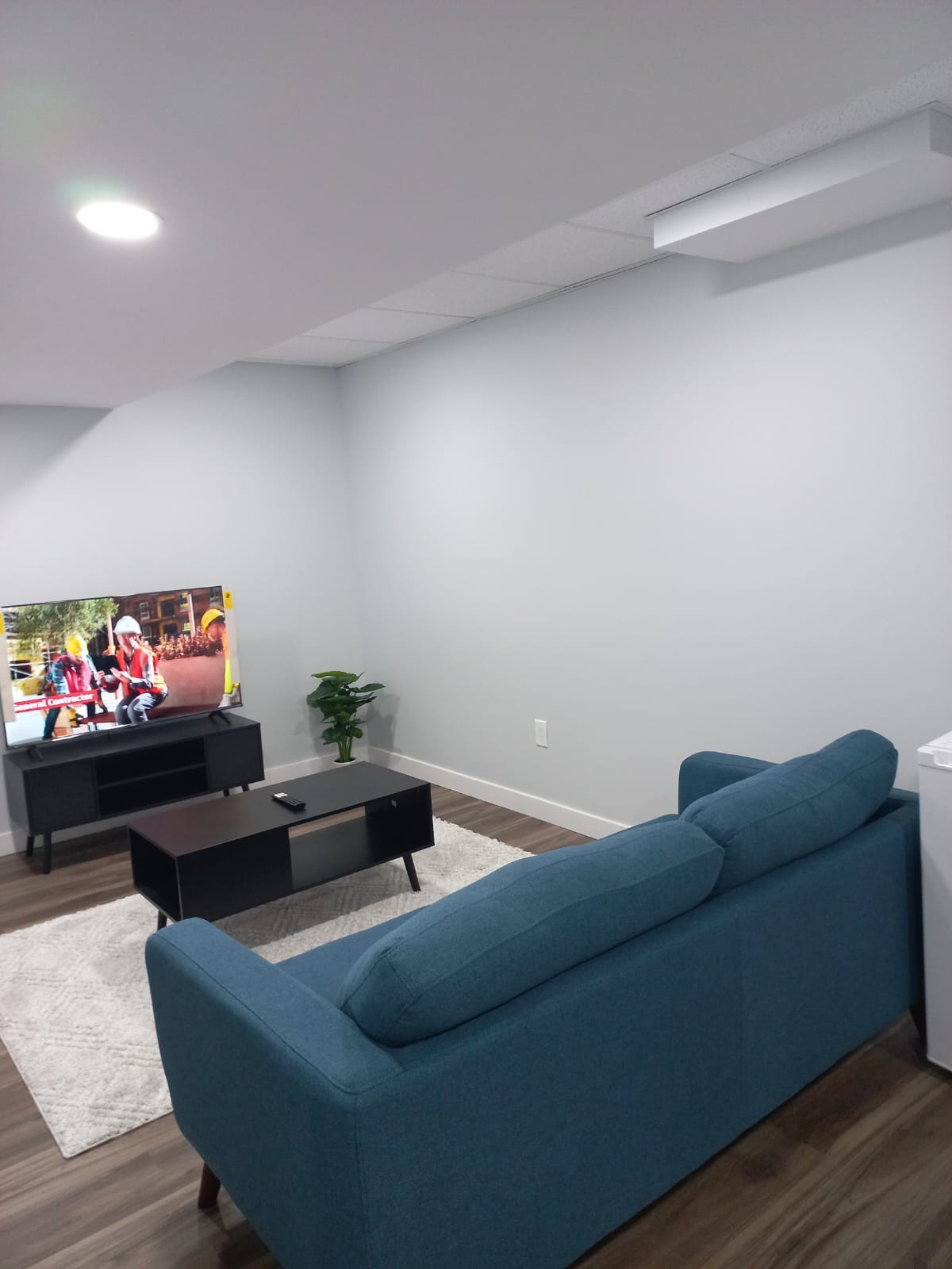 A cozy living area features a blue sofa facing a television, set on a black media console. A light area rug is positioned beneath a coffee table, while a small green plant adds a touch of color. The walls are painted in a neutral light gray.