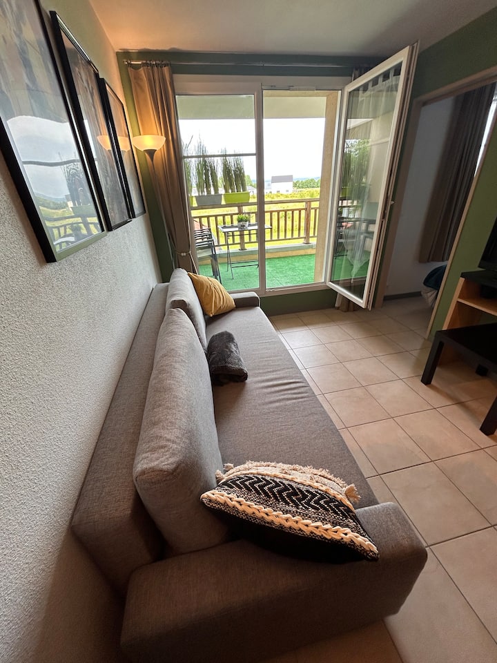 Le Nid De Sitelle, Appartement, Piscine Et Sauna - Beaune