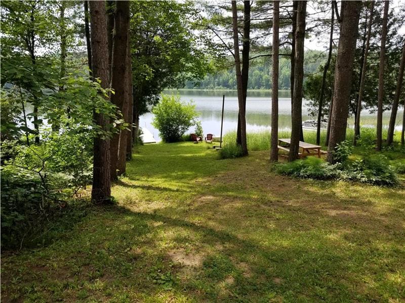 A serene lakeside view is framed by tall trees, with a grassy area leading down to the water's edge. Two wooden chairs are positioned nearby, offering a peaceful space to enjoy the surrounding nature and the calmness of the lake.