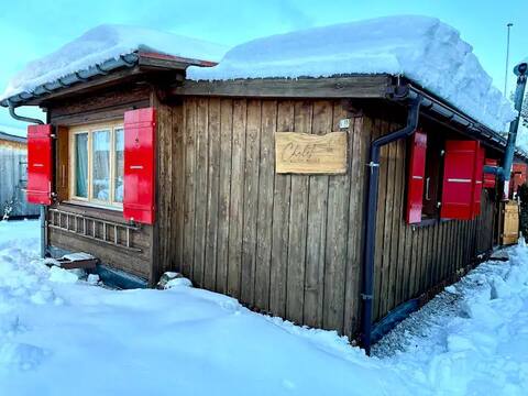 Swiss Tiny Home