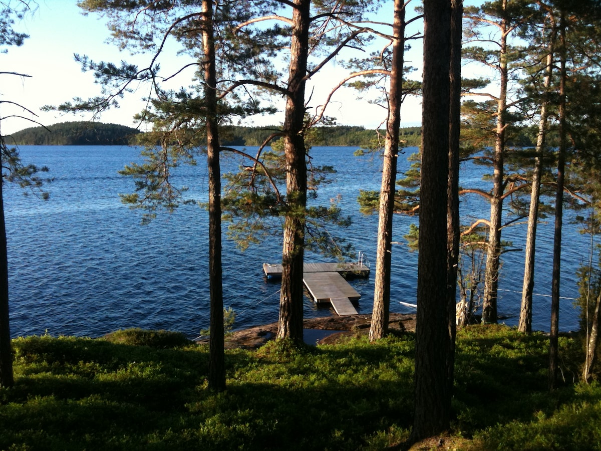 A serene view of a wooden dock extending into clear blue waters, surrounded by tall trees and lush green foliage. The calm surface reflects the tranquil landscape, with distant islands visible under a bright sky. Nature's beauty is emphasized by the untouched surroundings.