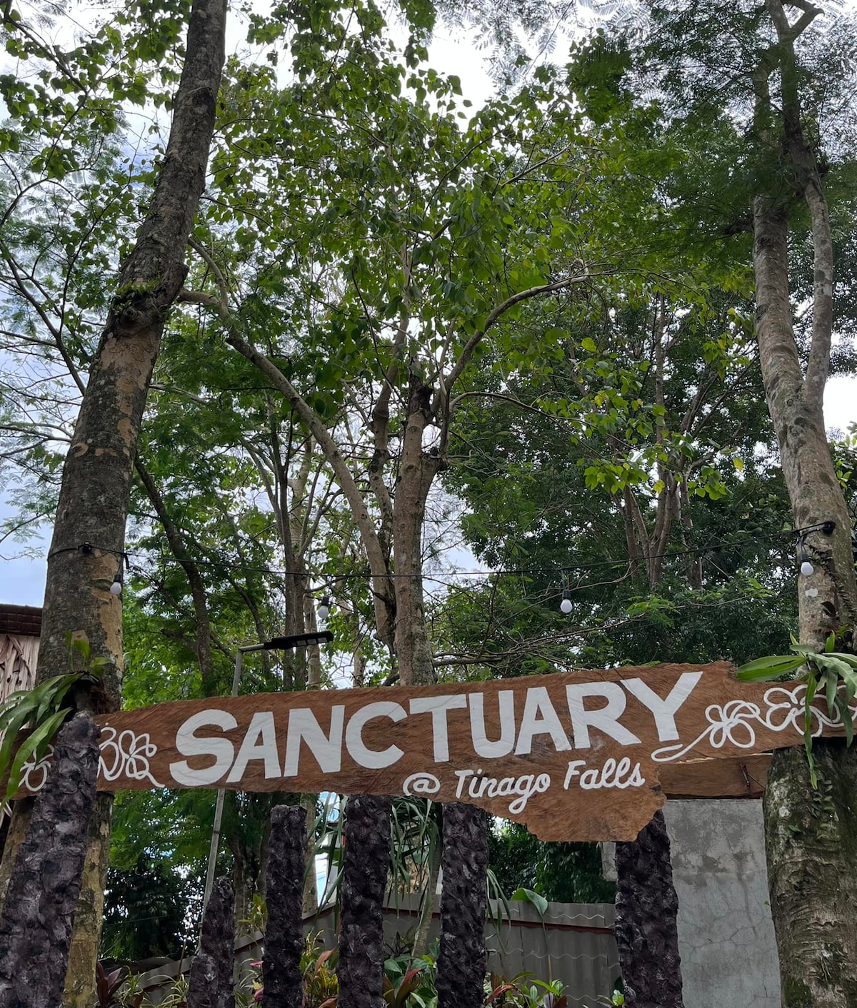 A wooden sign reading 'SANCTUARY @ Tinago Falls' is prominently displayed amidst a lush setting. Tall trees and various greenery surround the area, creating a natural and inviting entrance.