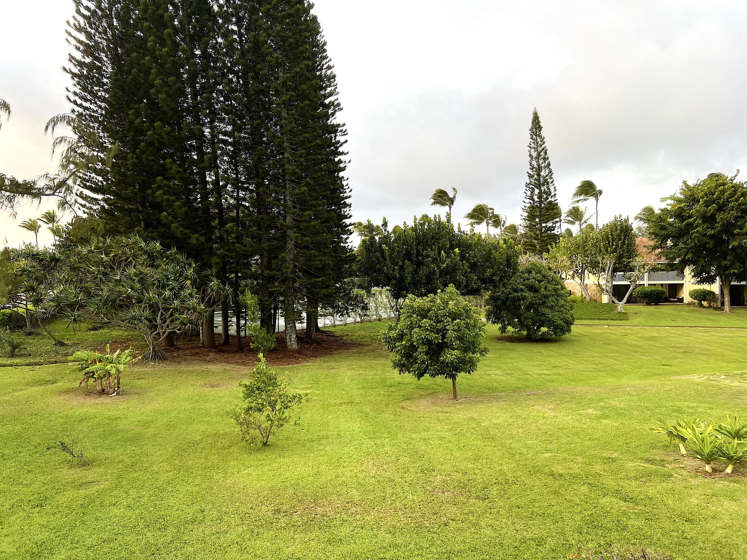 Hawaiian Dream @ Turtle Bay. Permit #2211-CCH-0078 - Image 25
