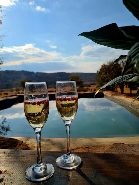 Giraffe Wild Guest House