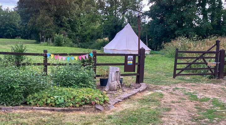 Toad Abode Camping,
Badgers Bell Tent. - Essex