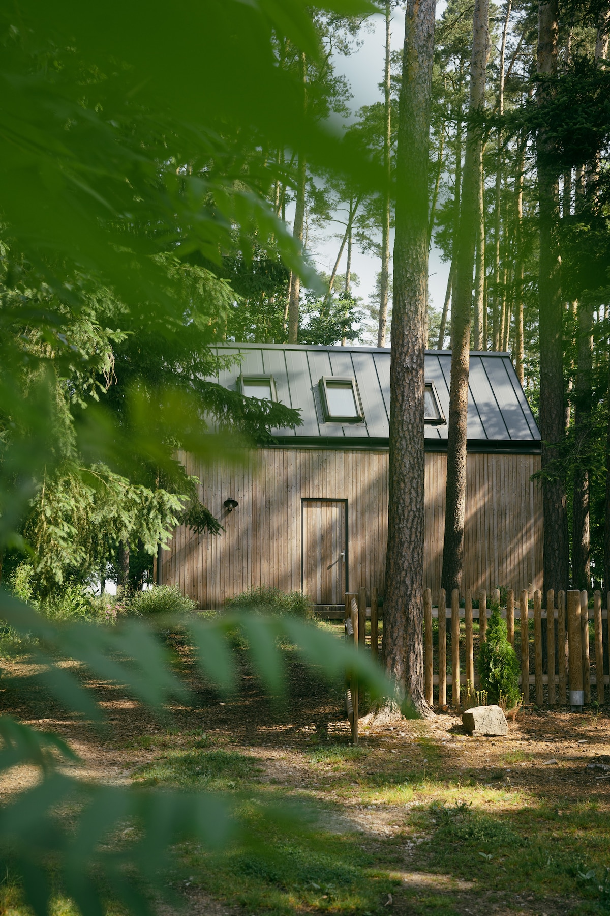 The exterior of a wooden cabin is nestled among tall trees, featuring a sloped roof with multiple skylights. A wooden fence outlines the property, and a pathway is visible through a clearing, enhancing the connection to the surrounding nature.