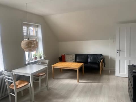 Successful Airbnb property: Cozy apartment on the 1st floor in the middle of town. in Herning