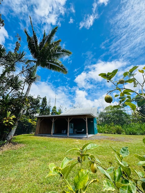 “The Pahoa cabin”