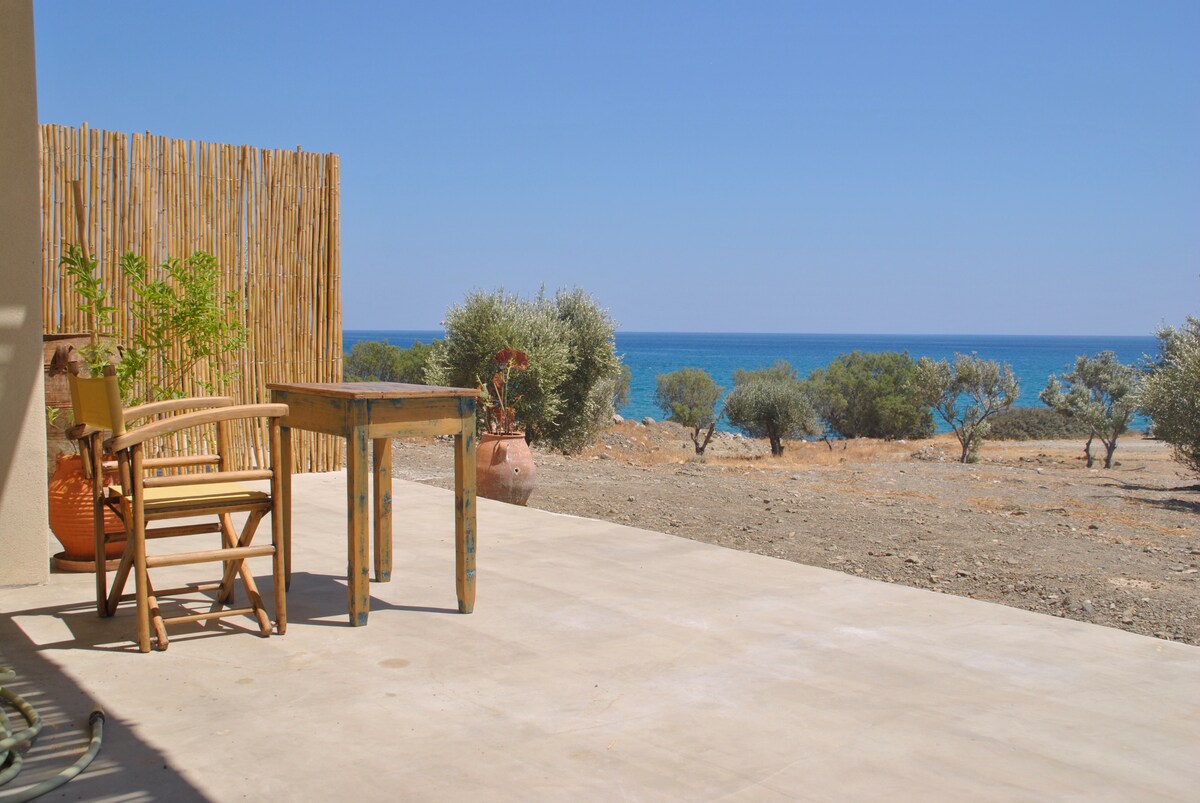 An outdoor patio area features a small wooden table and a chair, overlooking the sea. Olive trees are visible in the background, and a bamboo screen adds privacy to the space. The clear blue sky meets the horizon, creating a serene coastal setting.