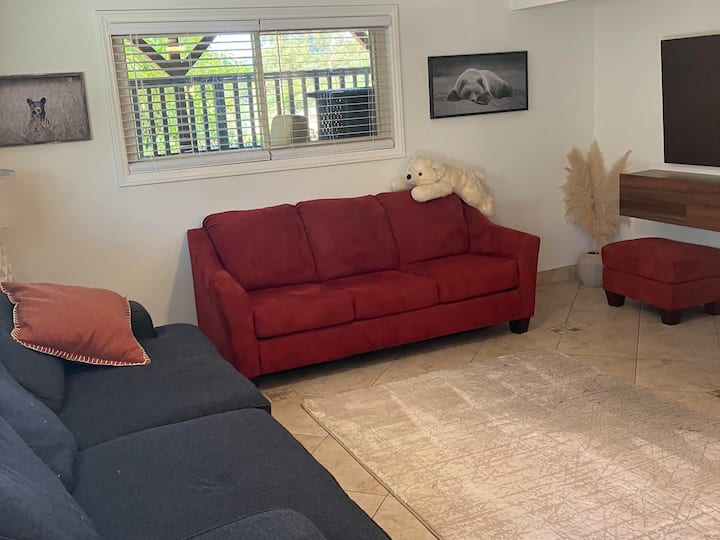 This is a combo bedroom / living room / kitchen.  The red couch opens up into a queen bed.  This is part of the downstairs area.