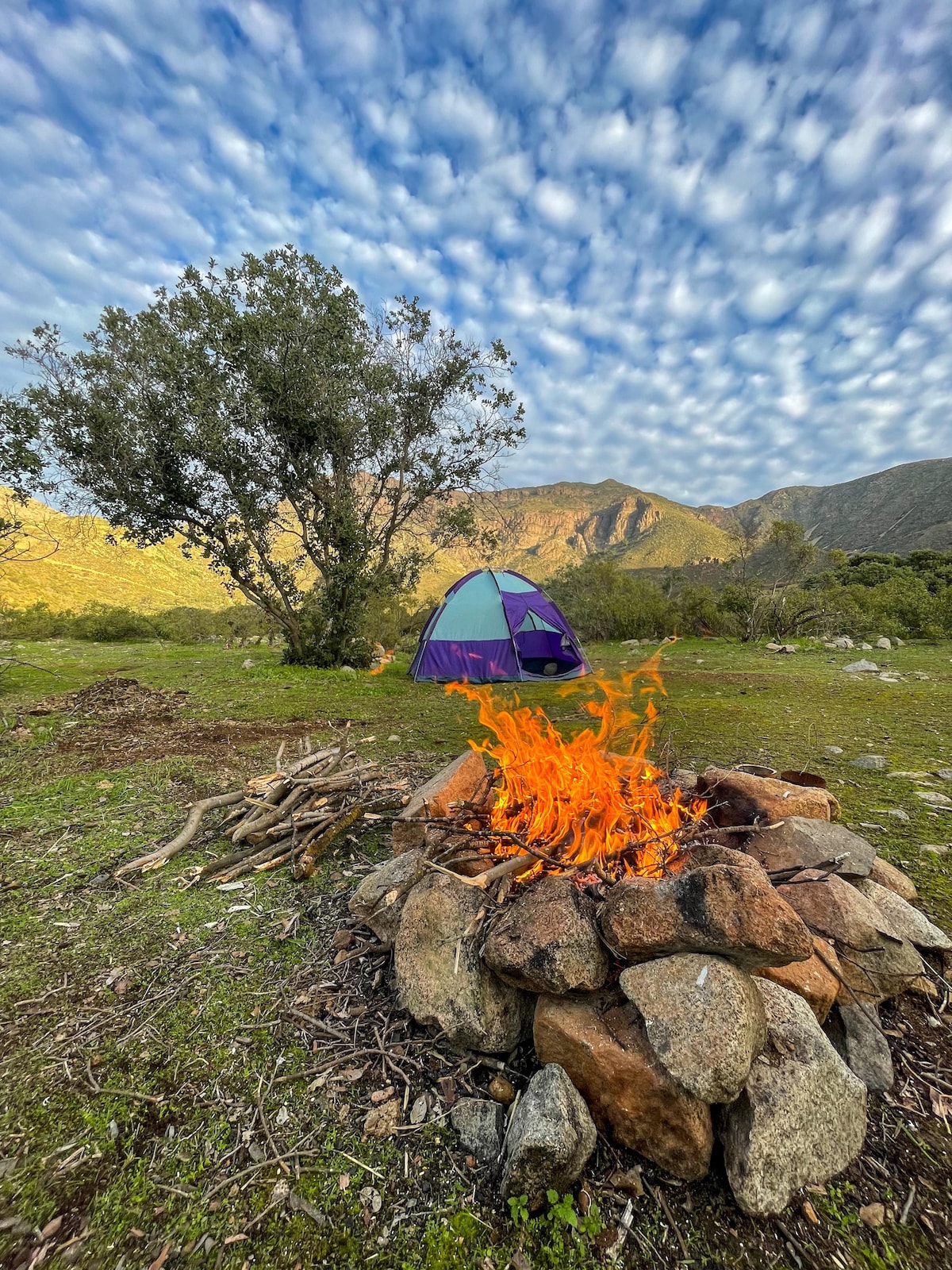 A multi-colored tent is pitched in a grassy area, surrounded by low vegetation and a backdrop of mountains. A campfire burns brightly in a stone fire ring, with logs stacked nearby. The sky is filled with textured clouds, creating a serene outdoor atmosphere.