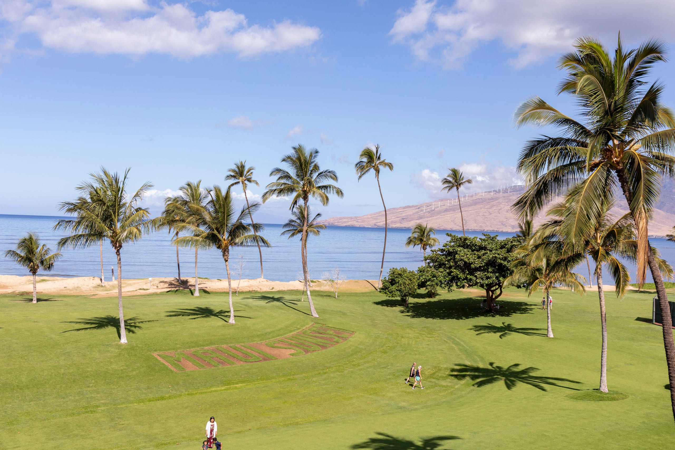 Renovation!  True oceanfront Views! 2BDR 2Ba - Image 32