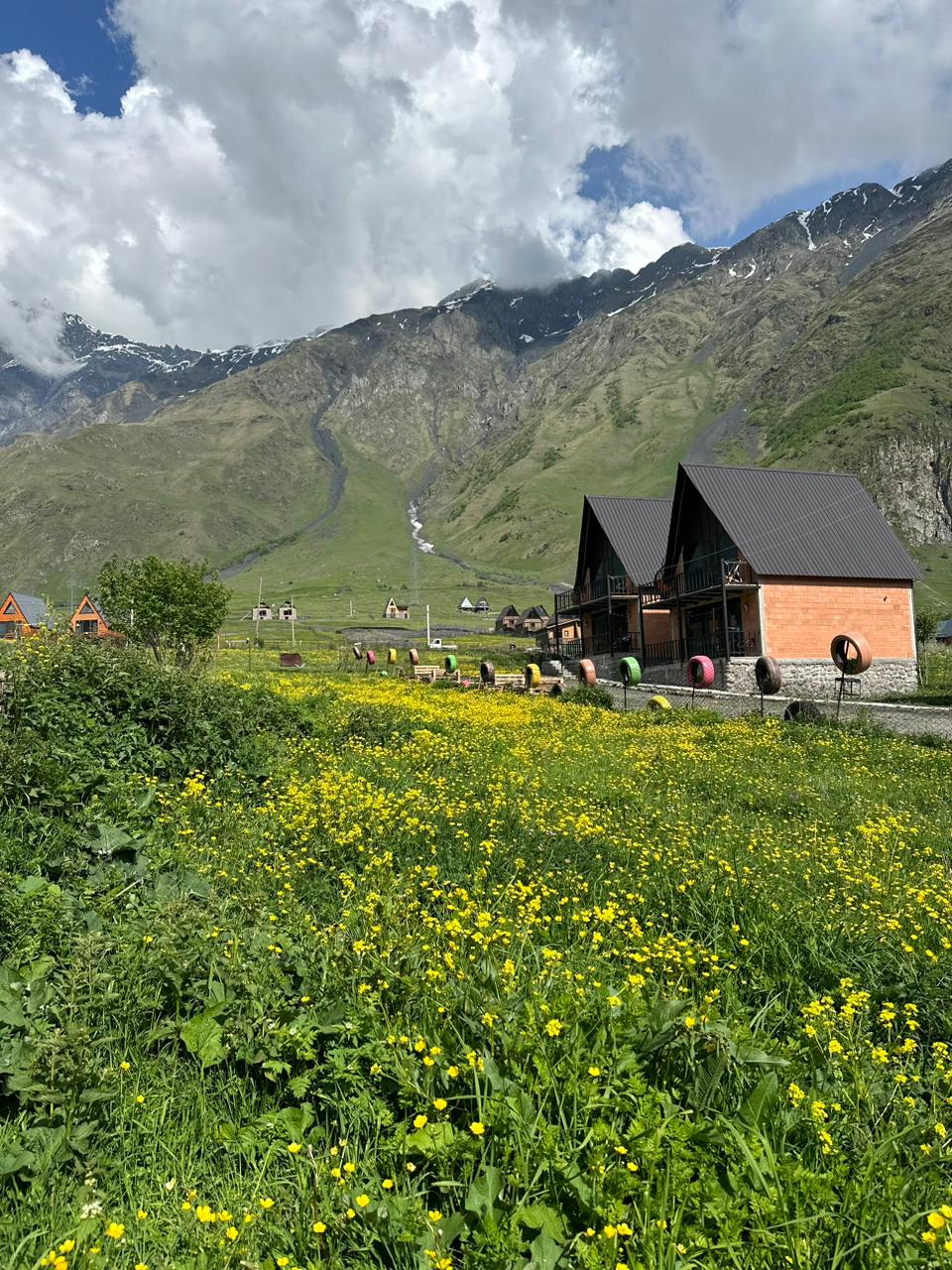 A scenic landscape features two wooden structures nestled among vibrant yellow wildflowers in a lush green meadow. Towering mountains rise in the background, partially shrouded by clouds. A gentle waterfall cascades down the mountainside, adding to the serene setting.