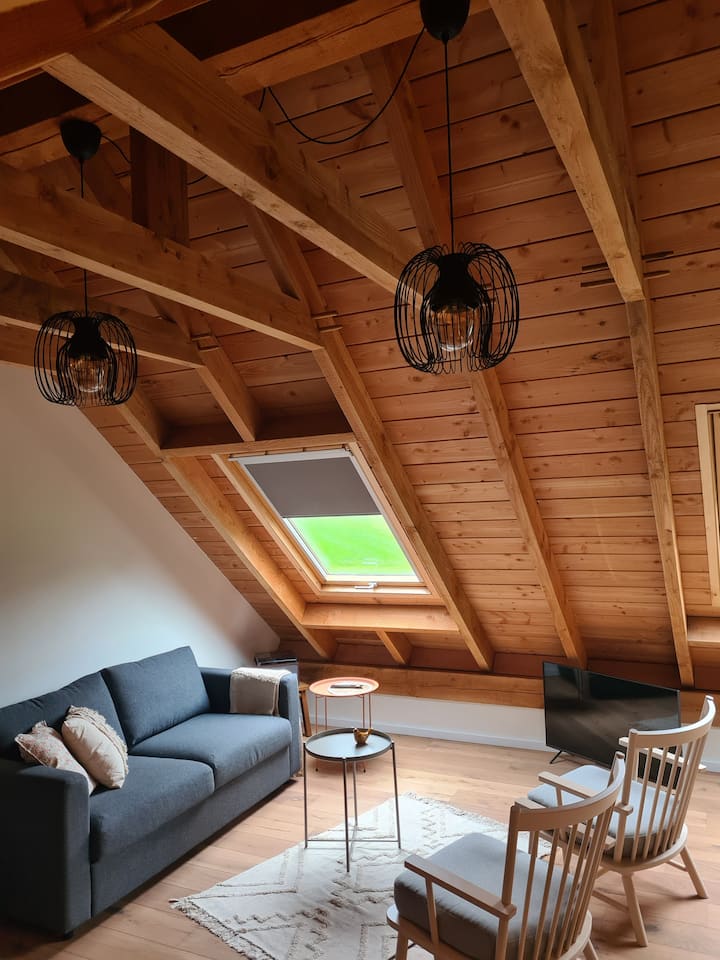 1. Loft De Mulder In Hengevelde - Haaksbergen